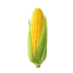 Moneta
