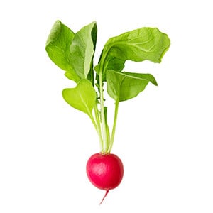 Radishes