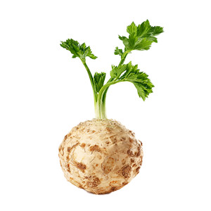 Berg-Bohnenkraut