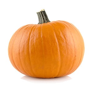 Pumpkin / Squash