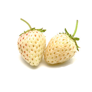Fraise des Bois