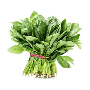 Spinach (Summer)
