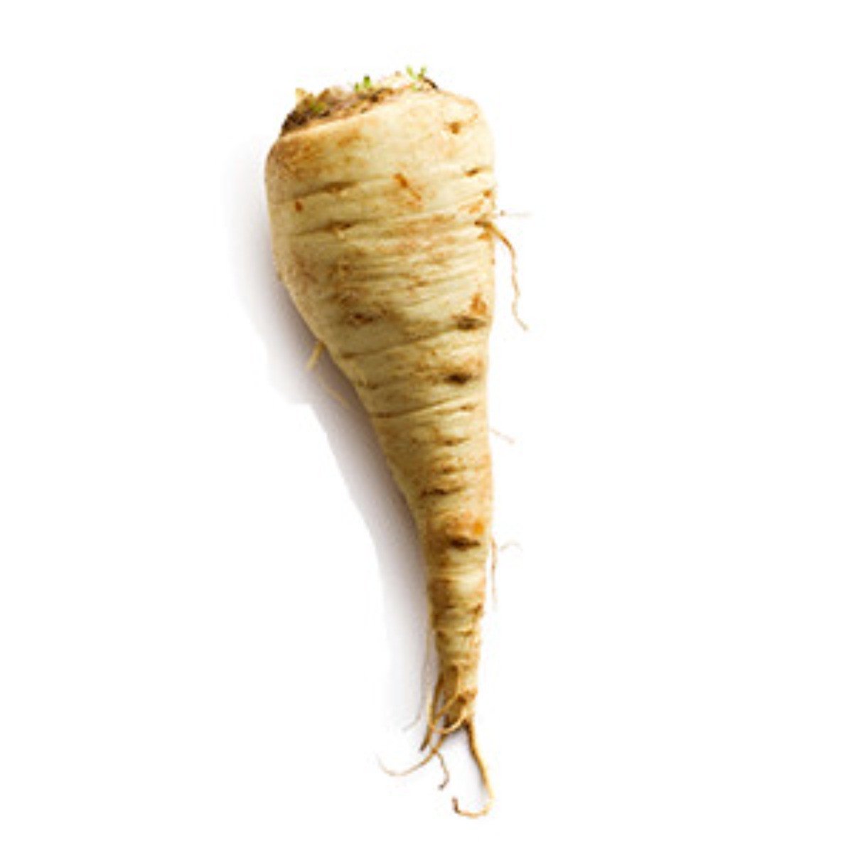 Parsnip