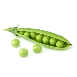 Pea